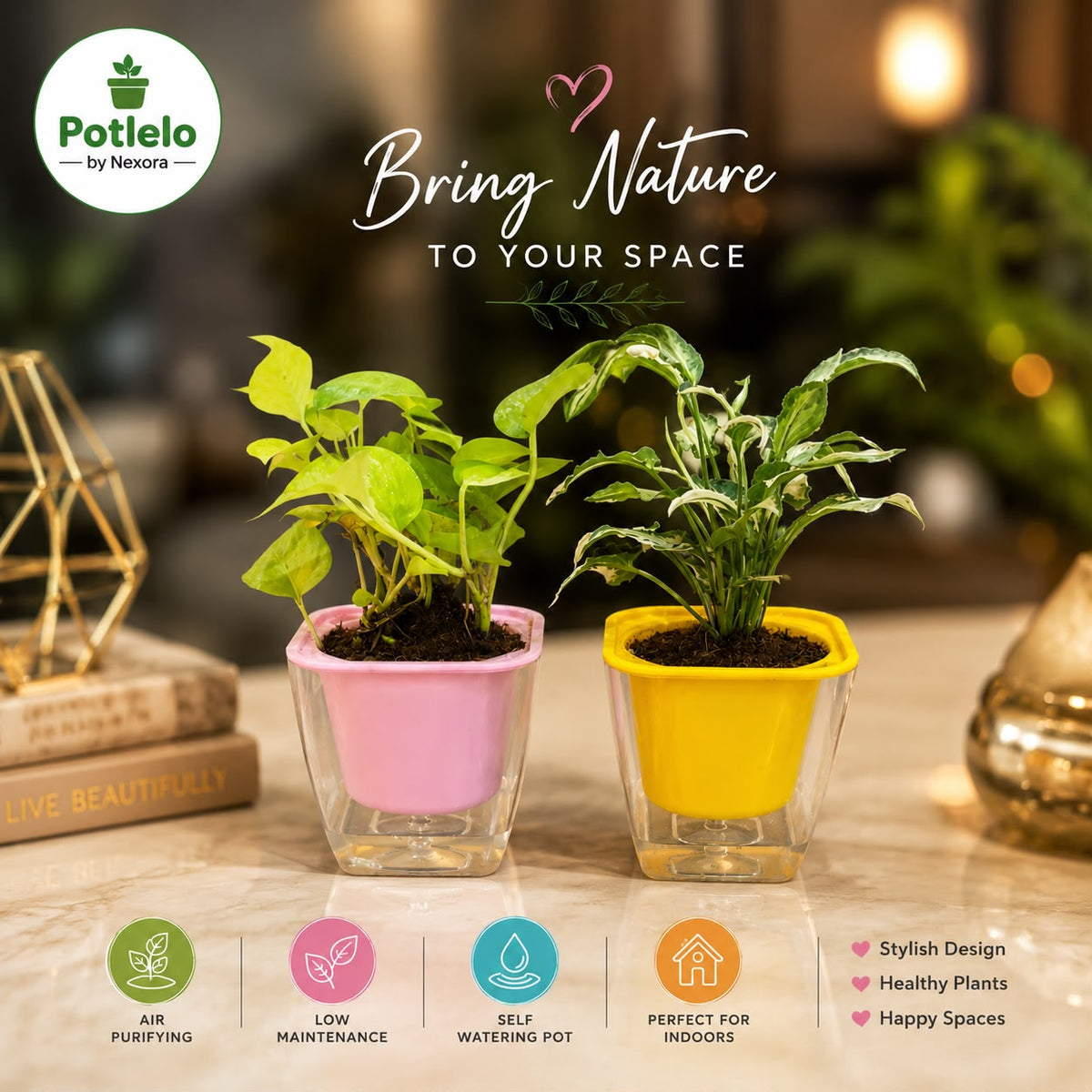 Best Plant Pots for Home & Office: Self-Watering, Decorative & Diwali Gifting Ideas