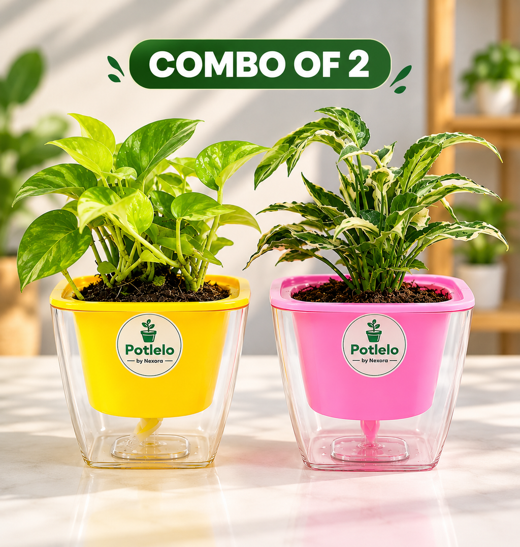 Potlelo Self-Watering Planters – Set of 2 | 4-Inch Indoor Plant Pots | Pot Only