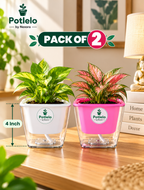 Potlelo Self-Watering Planters – Set of 2 - Pink & White | 4-Inch Indoor Plant Pots | Pot Only
