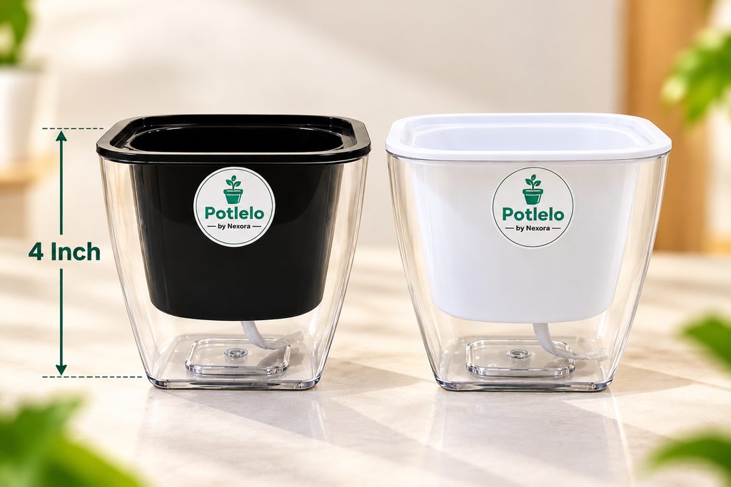 Potlelo Self-Watering Planters – Set of 2 - BLACK & WHITE | 4-Inch Indoor Plant Pots | Pot Only