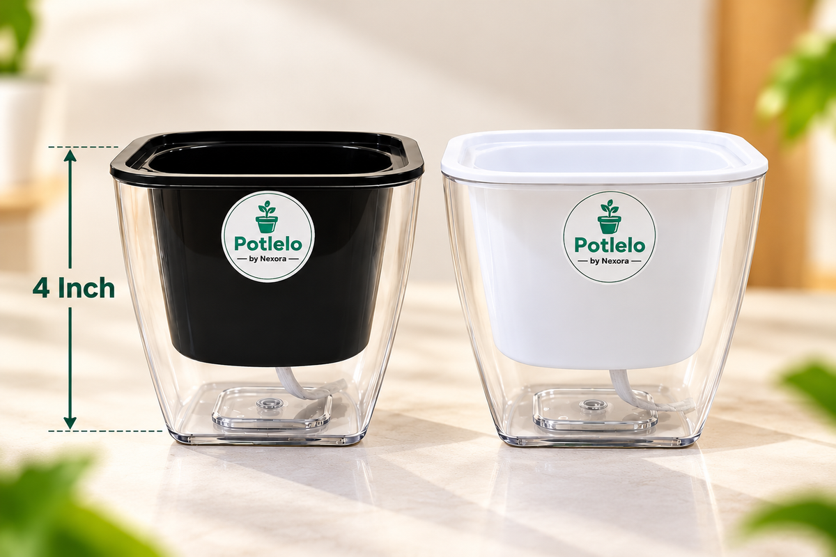 Potlelo Self-Watering Planters – Set of 2 - BLACK & WHITE | 4-Inch Indoor Plant Pots | Pot Only