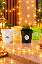 Crown Planter Pot | 4inch | Combo