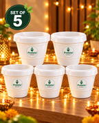 Potlelo Petu-W Pots | Pack of 5