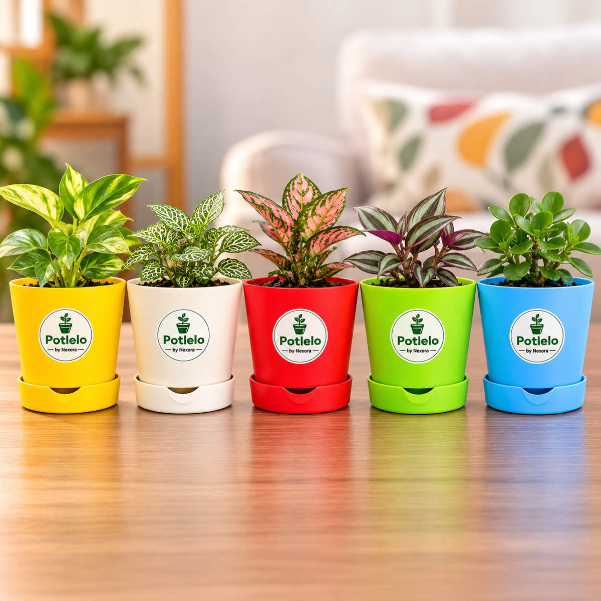S.W - 4 Colour Pop Planter™ " Combo of 5  " ( Pot Only)