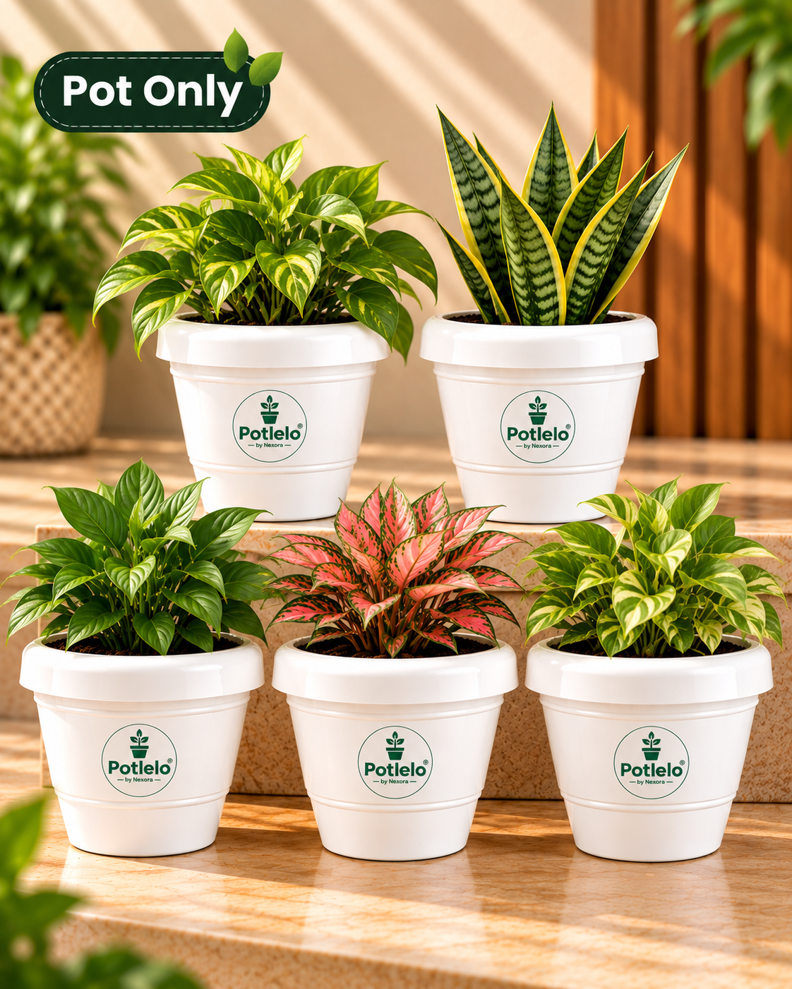 Potlelo Petu-W Pots | Pack of 5