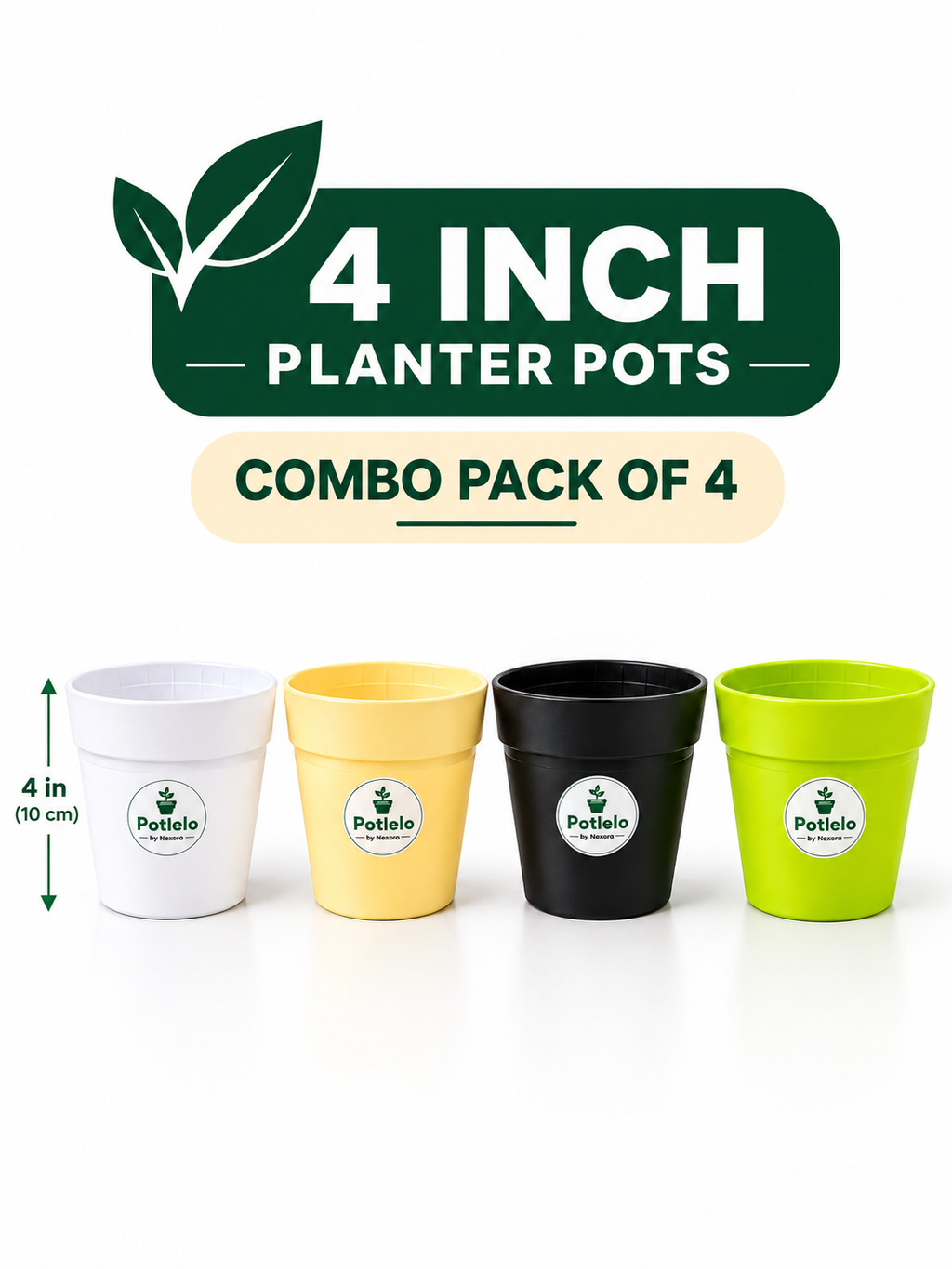 Crown Planter Pot | 4inch | Combo