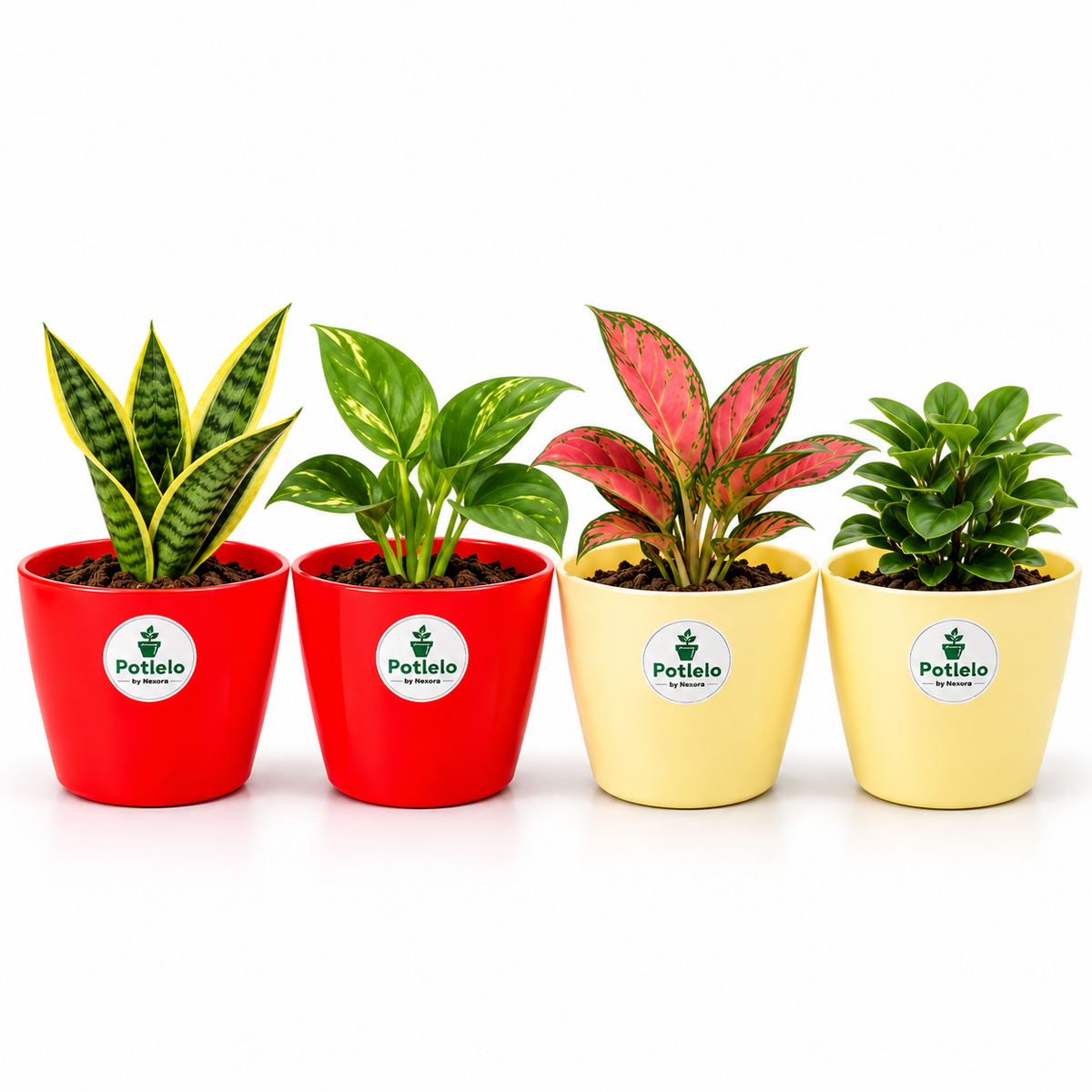 Potlelo Cool Pot | 4-Inch Flower Pot Combo of 4 – Red & Cream