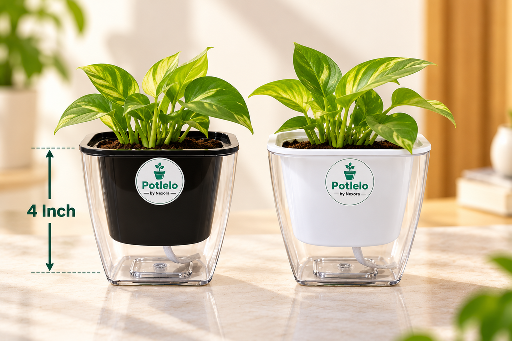 Potlelo Self-Watering Planters – Set of 2 - BLACK & WHITE | 4-Inch Indoor Plant Pots | Pot Only