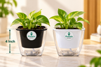 Potlelo Self-Watering Planters – Set of 2 - BLACK & WHITE | 4-Inch Indoor Plant Pots | Pot Only