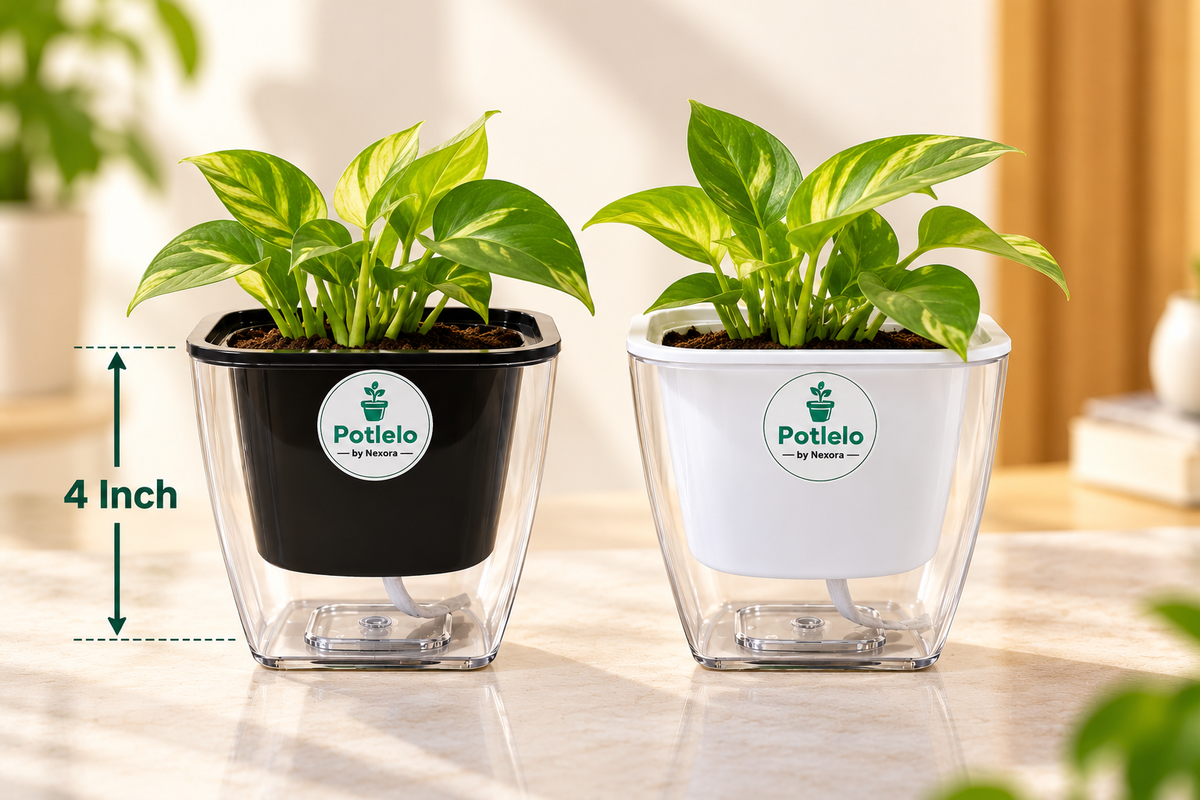 Potlelo Self-Watering Planters – Set of 2 - BLACK & WHITE | 4-Inch Indoor Plant Pots | Pot Only