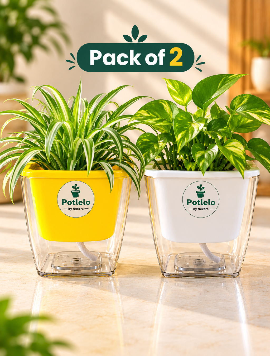 Potlelo Self-Watering Planters – Set of 2 - Yellow & White| 4-Inch Indoor Plant Pots | Pot Only