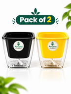 Potlelo Self-Watering Planters – Set of 2 - Black & Yellow | 4-Inch Indoor Plant Pots | Pot Only