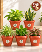 Potlelo Petu-R | Pots – Pack of 5