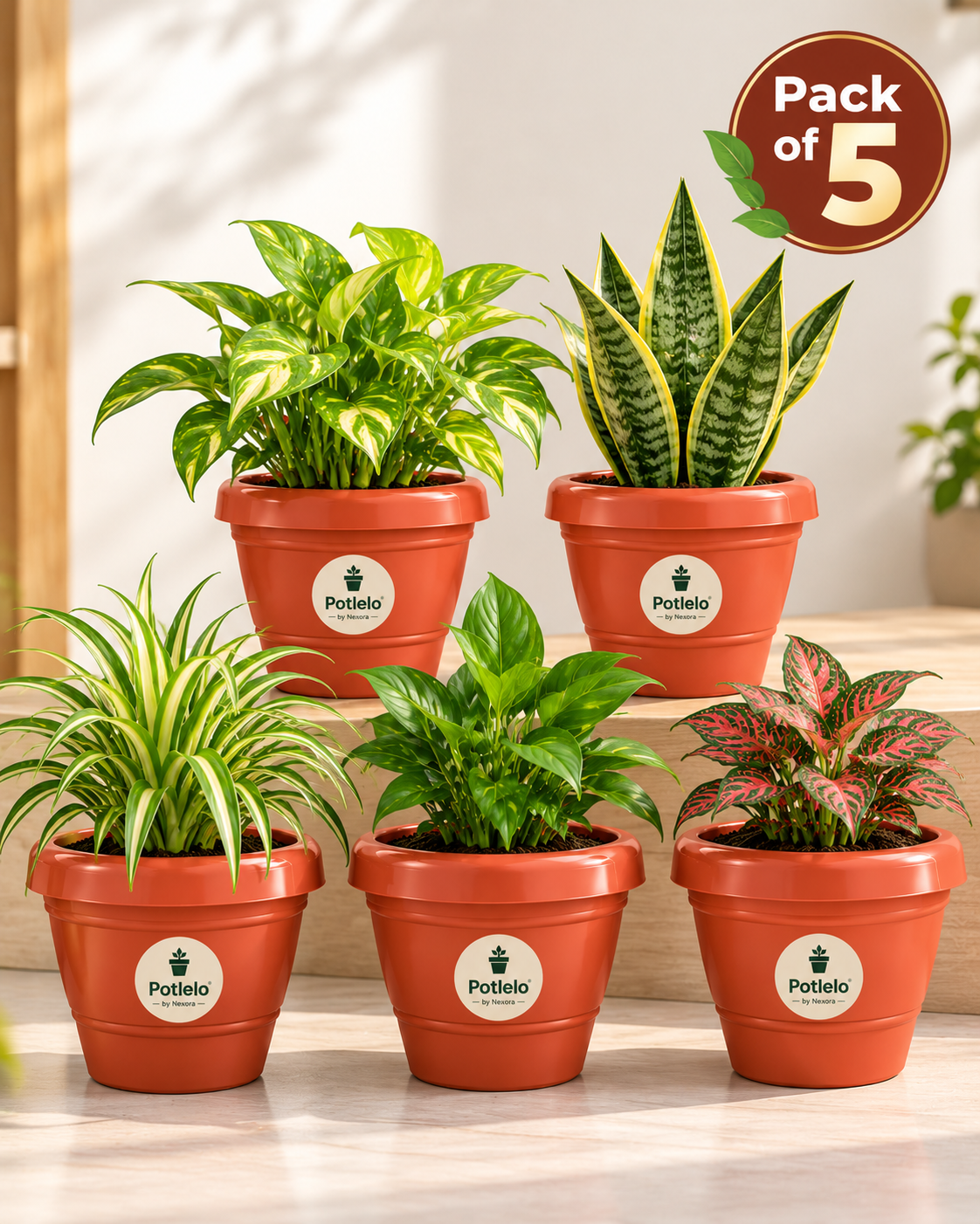 Potlelo Petu-R | Pots – Pack of 5