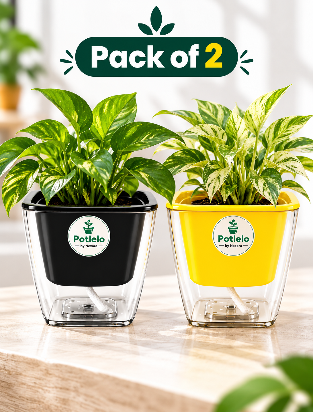 Potlelo Self-Watering Planters – Set of 2 - Black & Yellow | 4-Inch Indoor Plant Pots | Pot Only