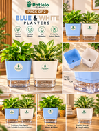 S.W Love™ Self-Watering Square Planter- White & Pastel Blue | 5×5×4 Inch | Pot only