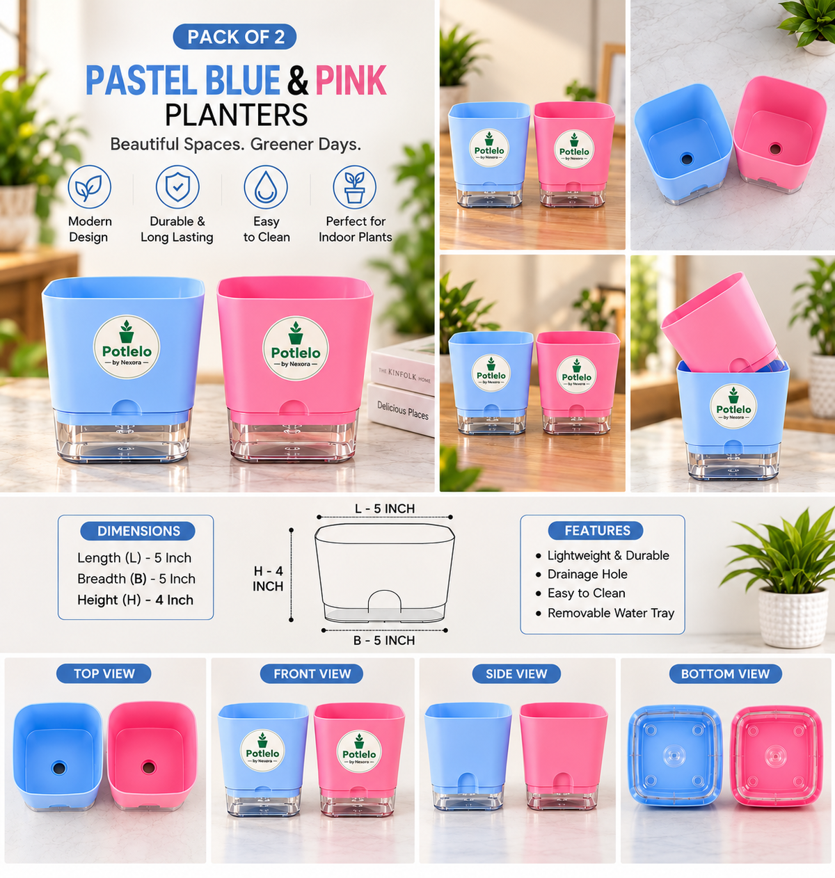 S.W Love™ Self-Watering Square Planter – Pastel Blue & Pink | 5×5×4 Inch ( Pot only )