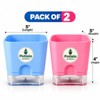 S.W Love™ Self-Watering Square Planter – Pastel Blue & Pink | 5×5×4 Inch ( Pot only )