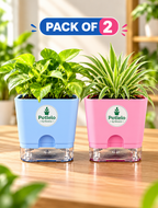 S.W Love™ Self-Watering Square Planter – Pastel Blue & Pink | 5×5×4 Inch ( Pot only )