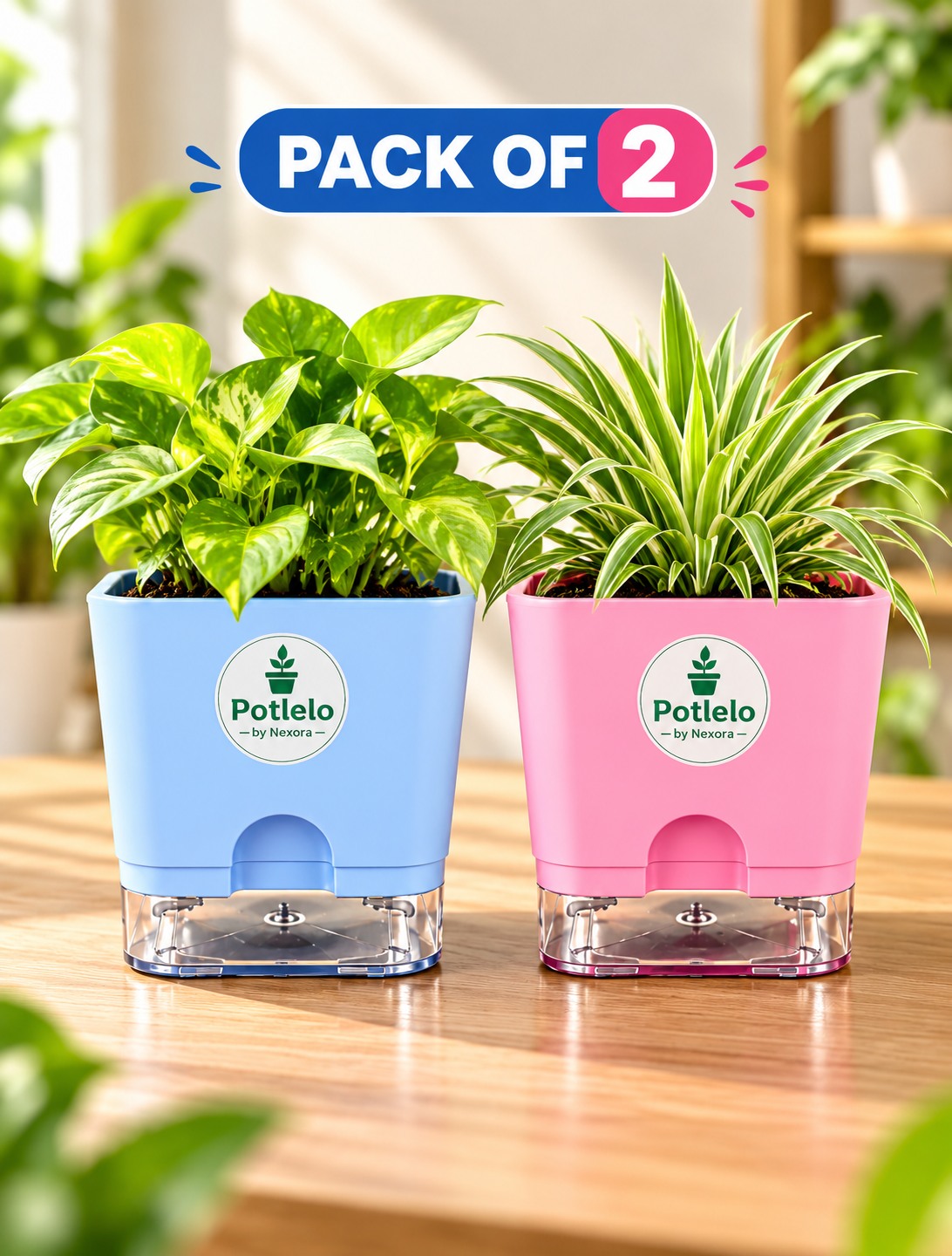 S.W Love™ Self-Watering Square Planter – Pastel Blue & Pink | 5×5×4 Inch ( Pot only )