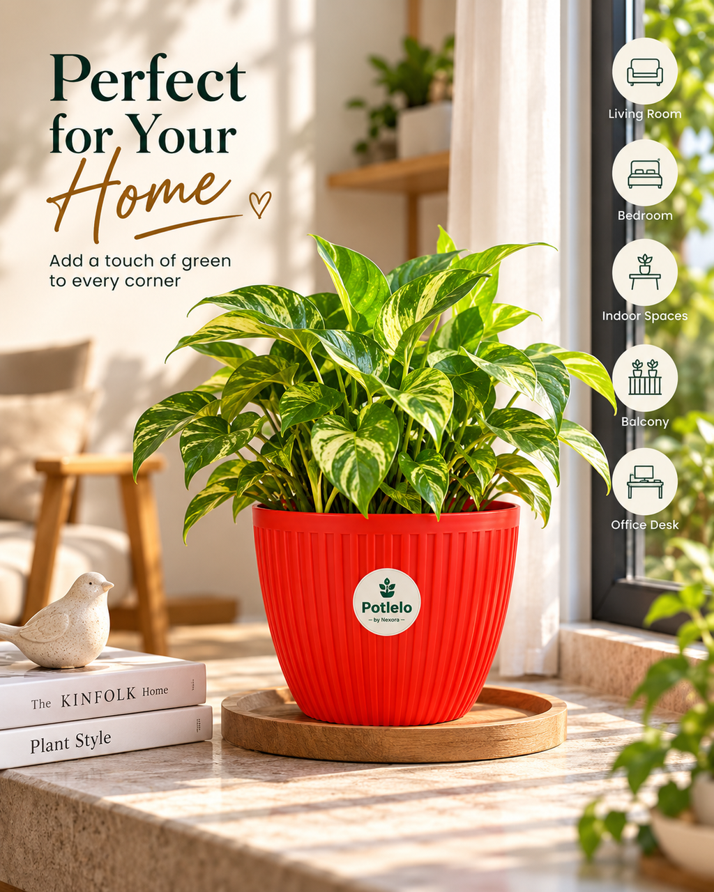 Potlelo Mega 7-Inch  Flower Pot | Pot Only
