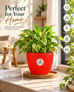 Potlelo Mega 7-Inch  Flower Pot | Pot Only