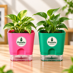 S.W Love™ Self-Watering Square Planter – Green & Pink | 5×5×4 Inch | Pot only