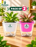 Potlelo Self-Watering Planters – Set of 2 - Pink & White | 4-Inch Indoor Plant Pots | Pot Only