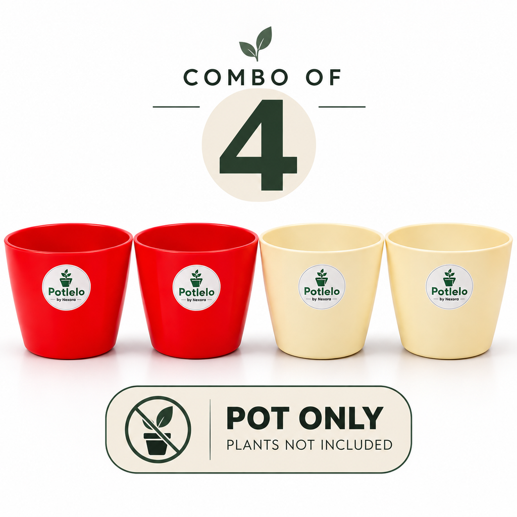 Potlelo Cool Pot | 4-Inch Flower Pot Combo of 4 – Red & Cream