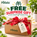 🎁 FREE SURPRISE GIFT