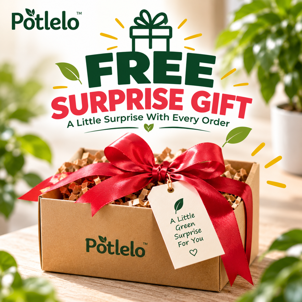 🎁 FREE SURPRISE GIFT