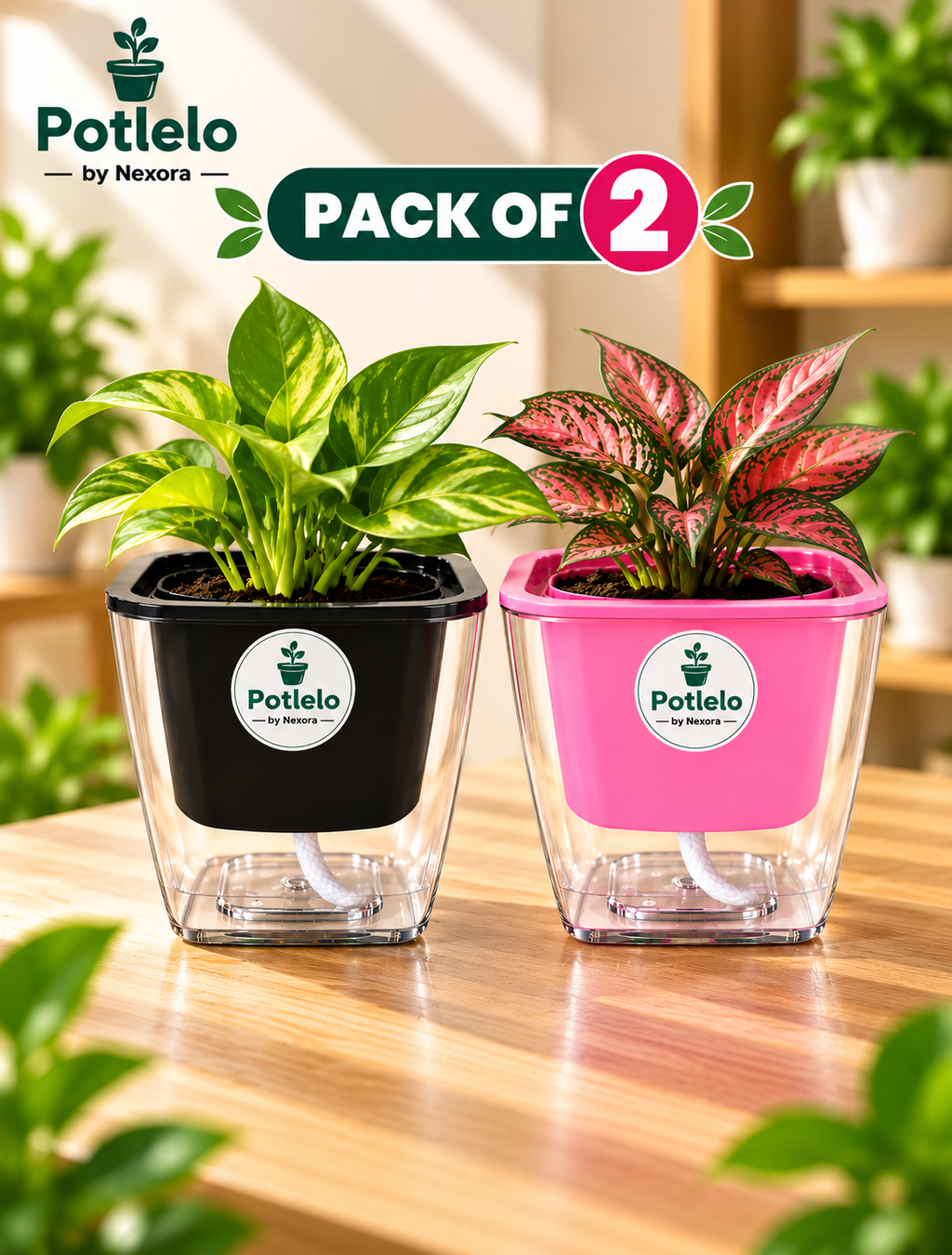 Potlelo Self-Watering Planters – Set of 2 - Black & Pink| 4-Inch Indoor Plant Pots | Pot Only