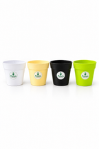 Crown Planter Pot | 4inch | Combo