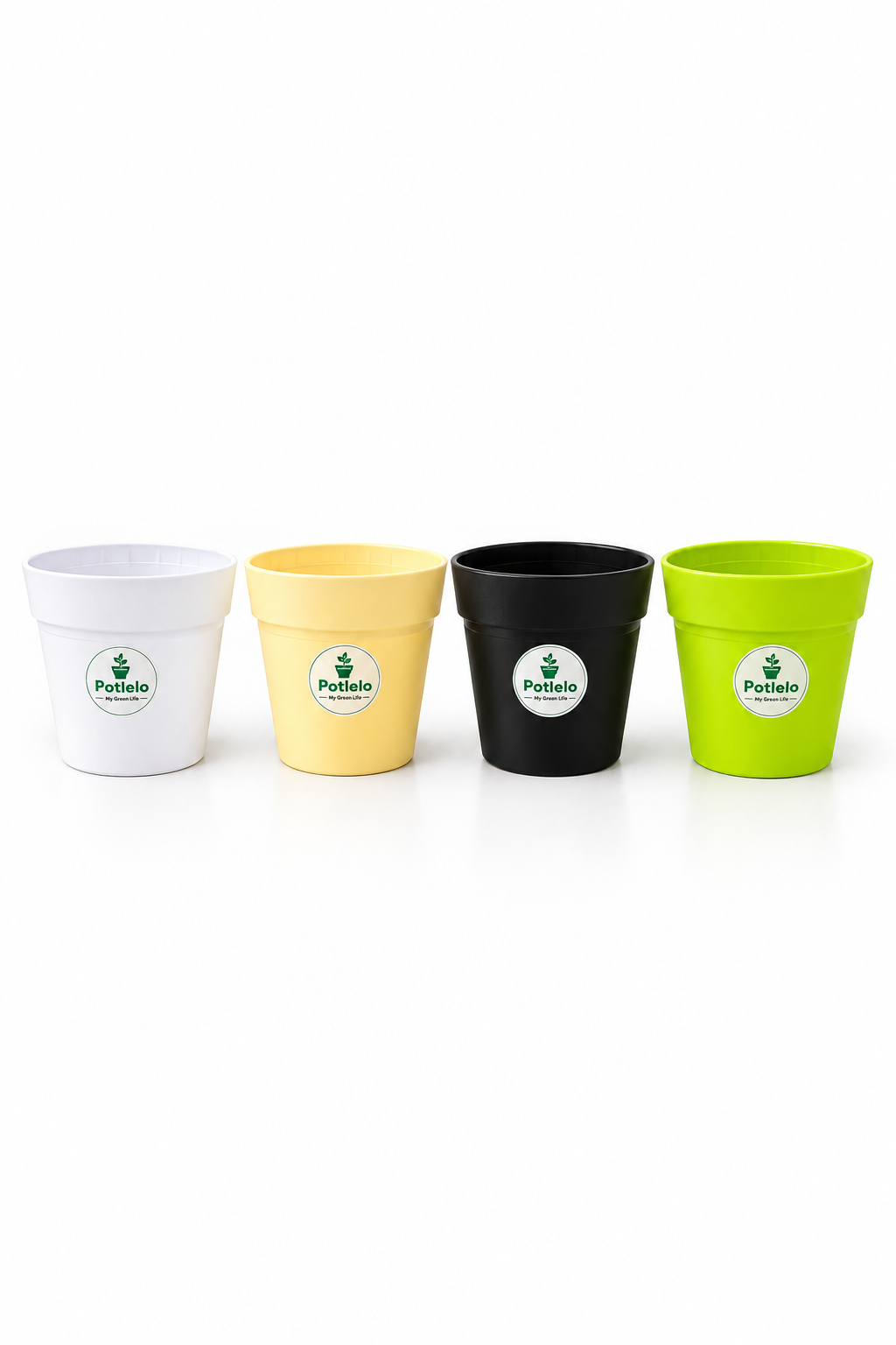 Crown Planter Pot | 4inch | Combo