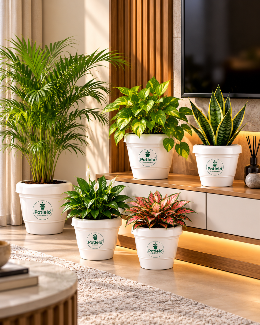 Potlelo Petu-W Pots | Pack of 5