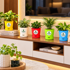 S.W - 4 Colour Pop Planter™ " Combo of 5  " ( Pot Only)