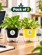Potlelo Self-Watering Planters – Set of 2 - Black & Yellow | 4-Inch Indoor Plant Pots | Pot Only