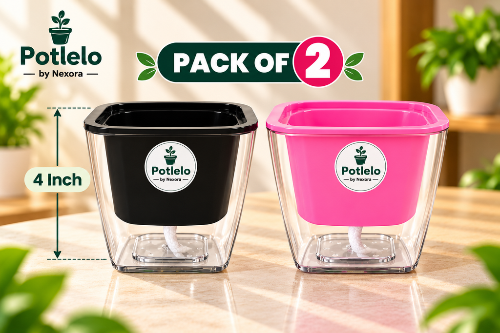 Potlelo Self-Watering Planters – Set of 2 - Black & Pink| 4-Inch Indoor Plant Pots | Pot Only