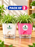 S.W Love™ Self-Watering Square Planter – White & Pink | 5×5×4 Inch | Pot only