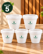 Potlelo Petu-W Pots | Pack of 5