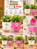 S.W Love™ Self-Watering Square Planter – White & Pink | 5×5×4 Inch | Pot only