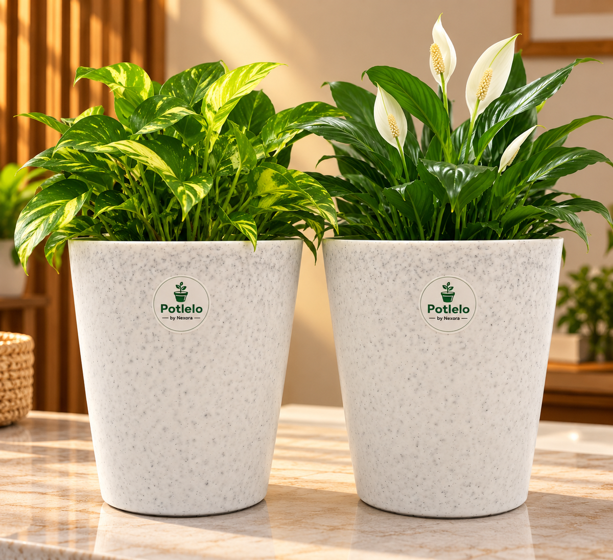 Potlelo Marble Tower Planter – 8 Inch |  Combo Pack of 2 | Pot Only