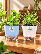 S.W Love™ Self-Watering Square Planter- White & Pastel Blue | 5×5×4 Inch | Pot only