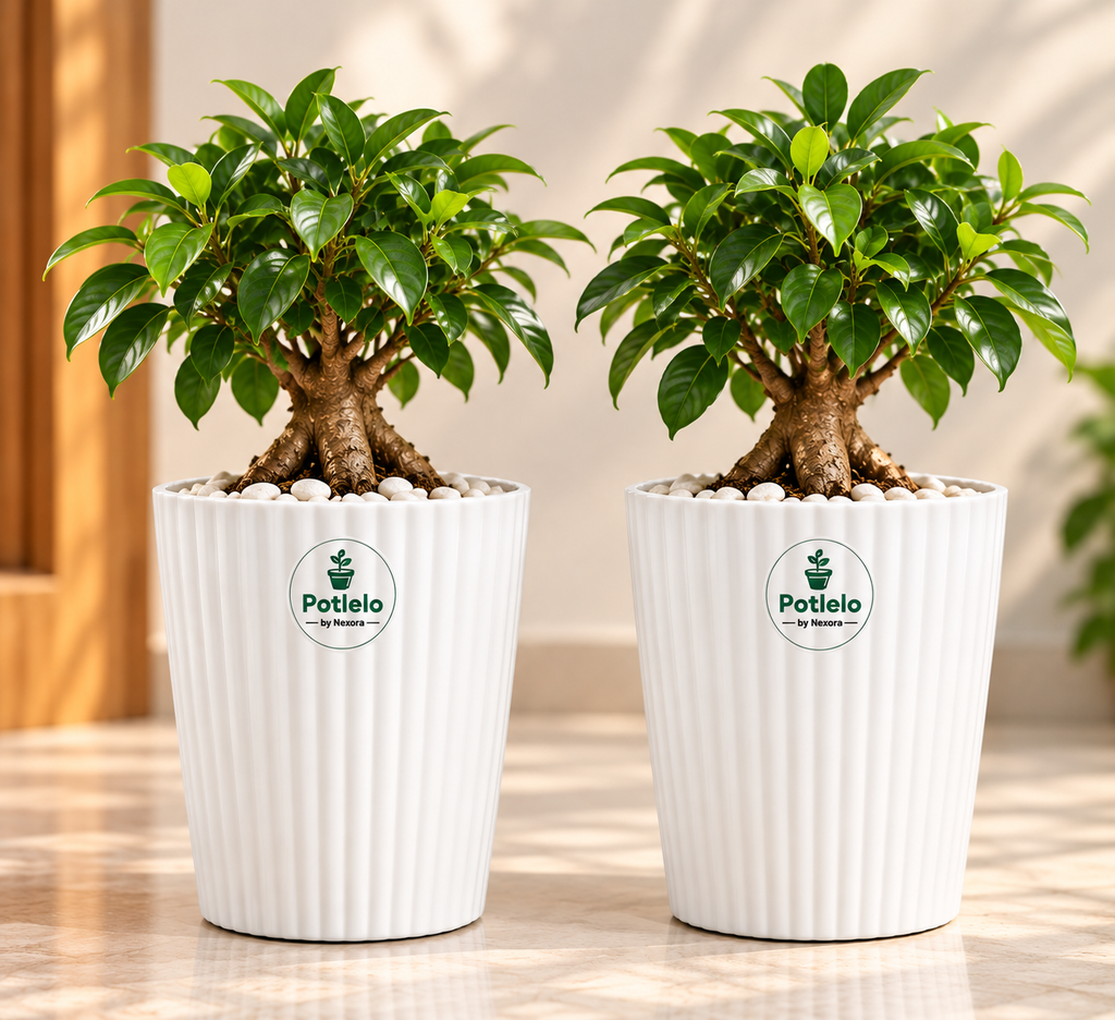 Potlelo Iris Tower Planter Combo Pack of 2 – 8 Inch | Pot Only