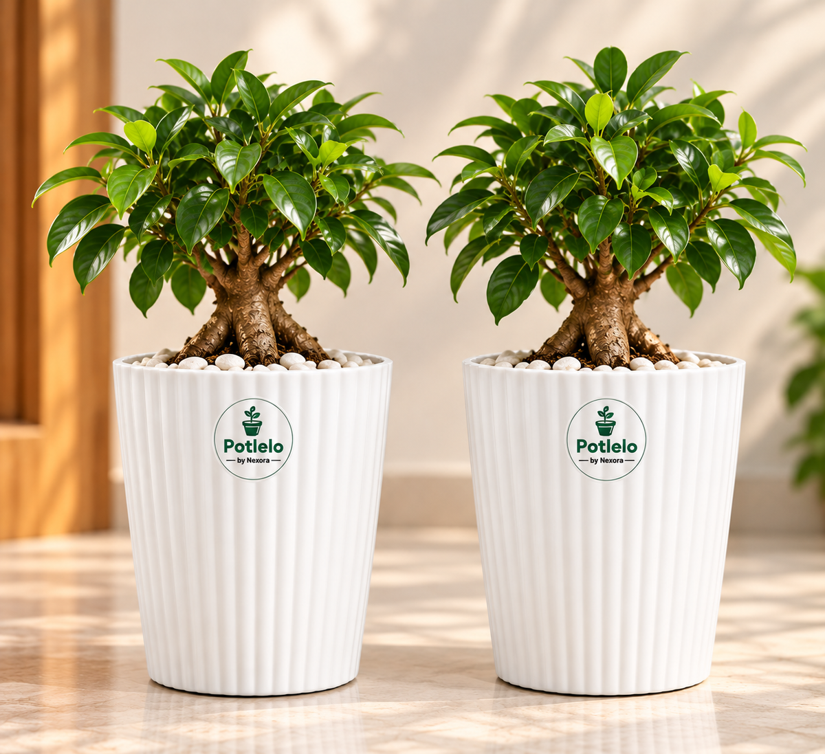 Potlelo Iris Tower Planter Combo Pack of 2 – 8 Inch | Pot Only