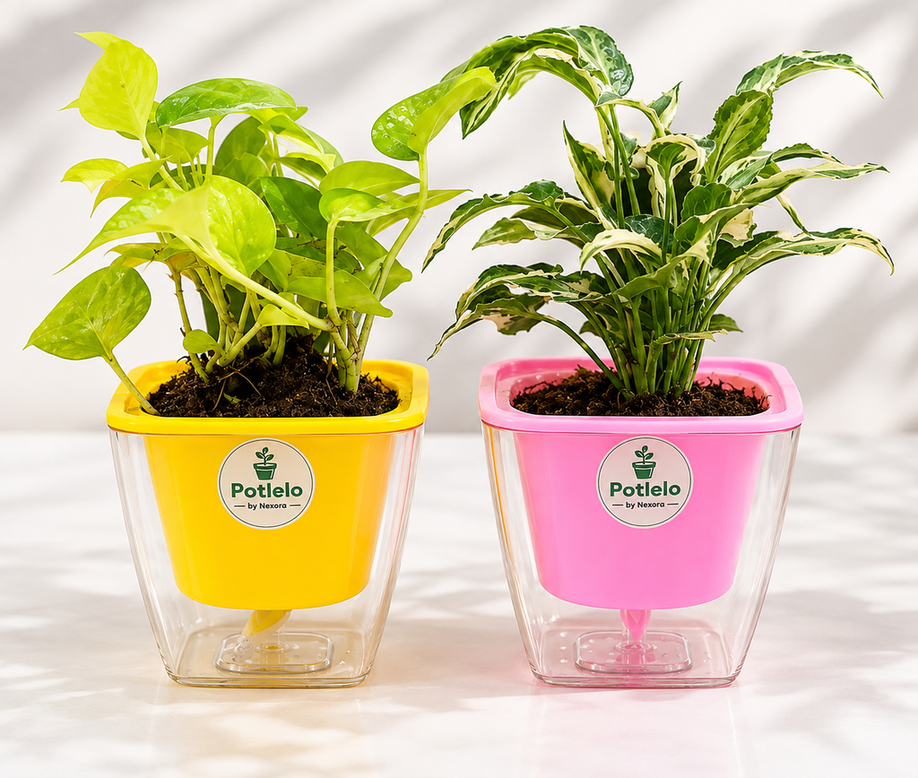 Potlelo Self-Watering Planters – Set of 2 | 4-Inch Indoor Plant Pots | Pot Only