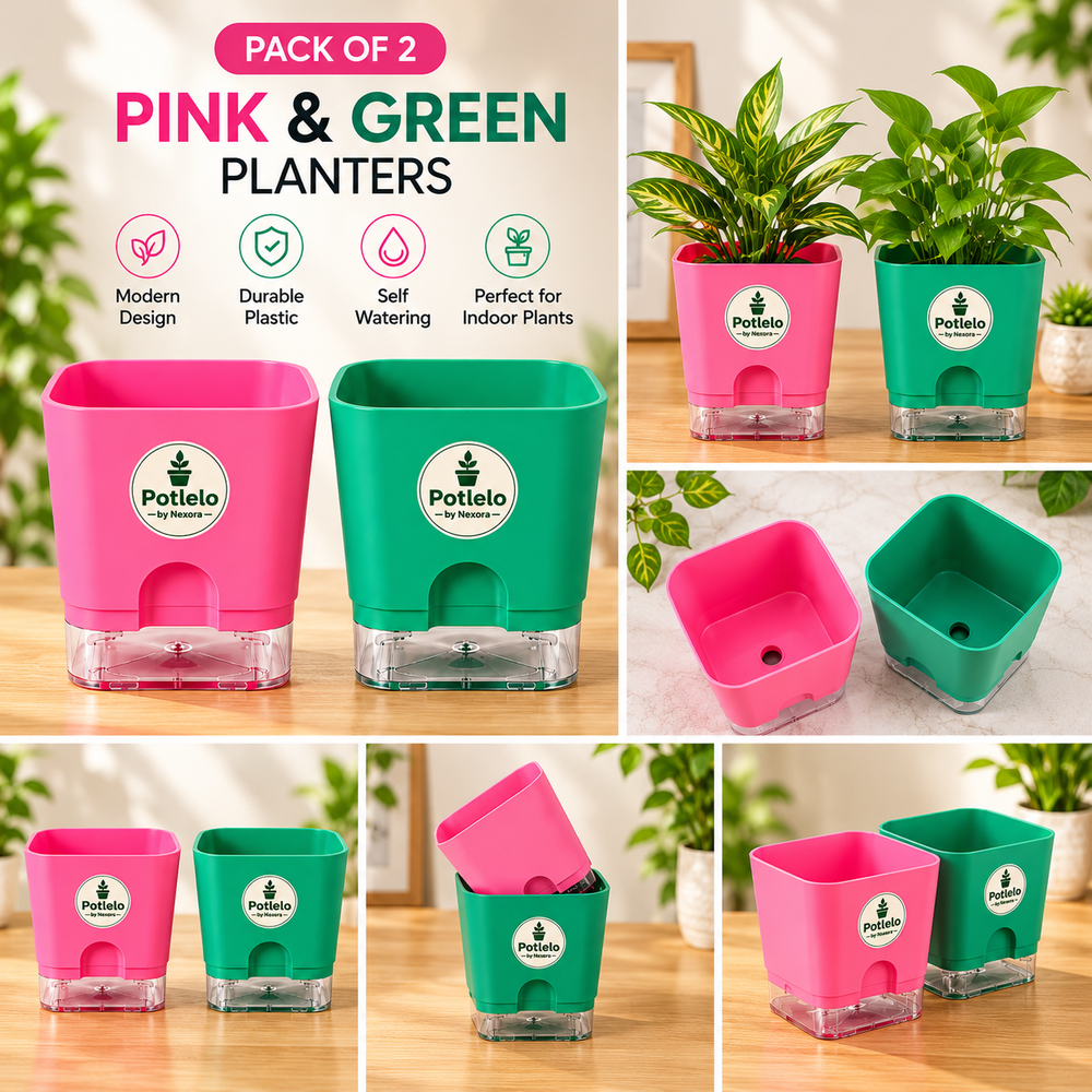 S.W Love™ Self-Watering Square Planter – Green & Pink | 5×5×4 Inch | Pot only