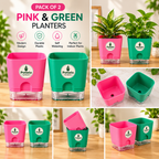 S.W Love™ Self-Watering Square Planter – Green & Pink | 5×5×4 Inch | Pot only