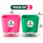 S.W Love™ Self-Watering Square Planter – Green & Pink | 5×5×4 Inch | Pot only